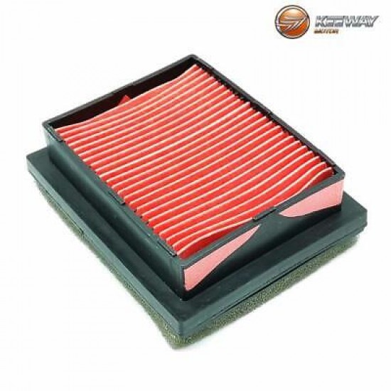 Gaisa filtrs RKF125 49200L430000