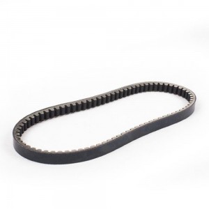 Ремень вариатора Fact Evo 2T (229011160020)