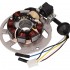 Alternators stators variat.1. (Keeway, CPI)