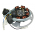Magneto spole (15) ATV100 (34310G02F000)