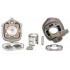 Cilindra kom.CAST-I-CILINDER KIT47pin10 H2O Yamaha(318284)