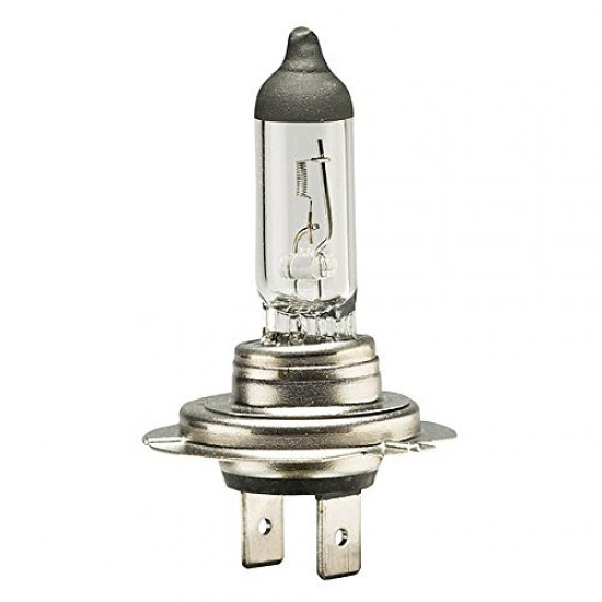 Spuldze Carpoint H7 55W