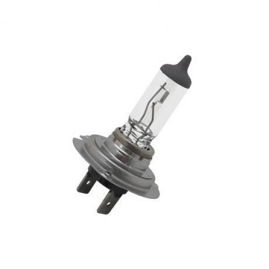 Лампочка PX26D H7 12V 55W